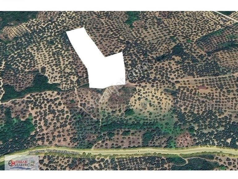 Halilbey'de 8.600 M2 Ana Asfalte 1 Parsel Yakınlıkta - Görsel 4