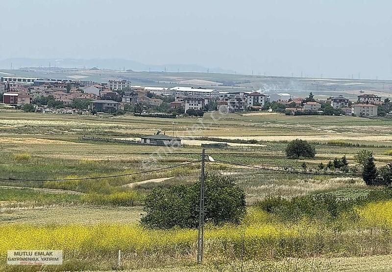 Mutlu Emlak 407 Metre Bağlarda Bağ Tek Tapu Müstakil Parsel
