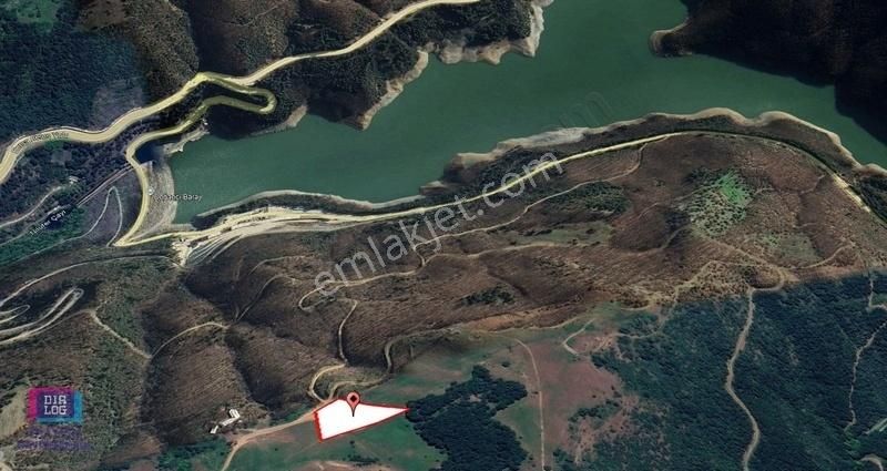 Doğancı'da 249 M2si Satılık Hisseli Tarla