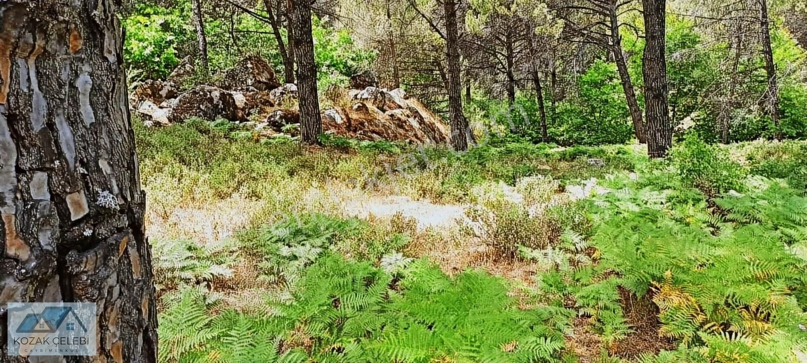 Ayvalık Daire Takasına Açık Müstakil Çamlık - Görsel 7