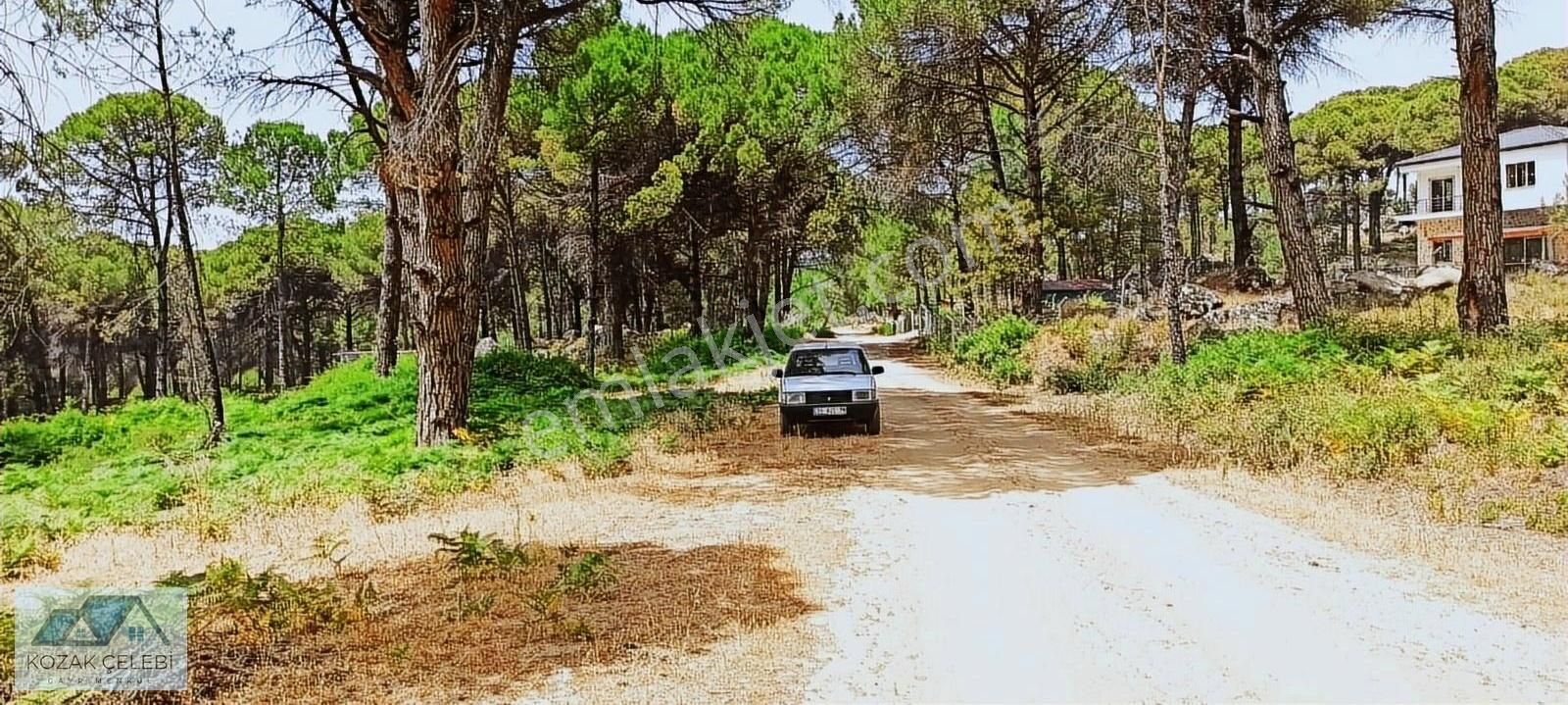 Ayvalık Daire Takasına Açık Müstakil Çamlık - Görsel 5