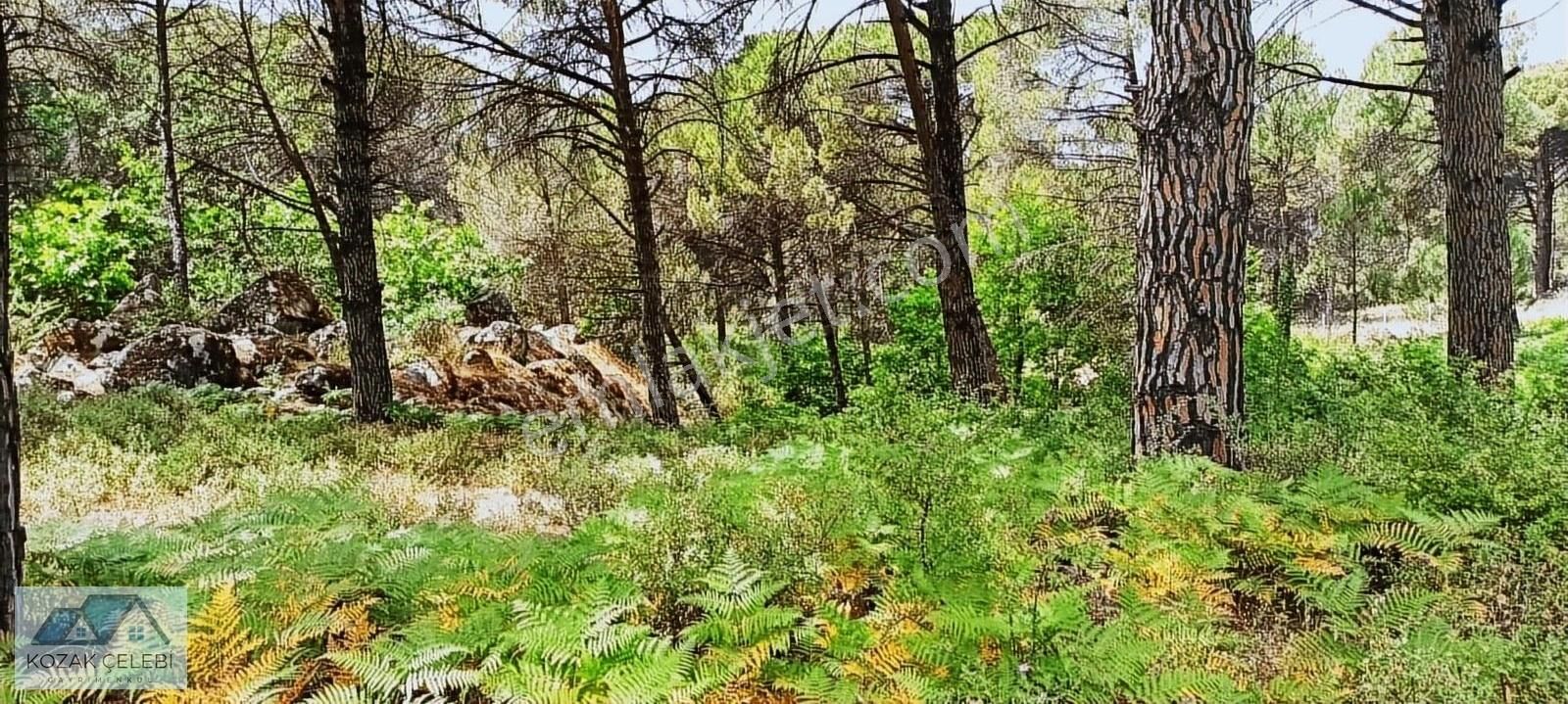 Ayvalık Daire Takasına Açık Müstakil Çamlık - Görsel 16