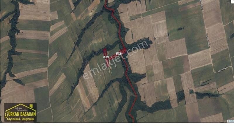 Tekirdağ Karacakılavuz Uygun Fiyatlı Tarla