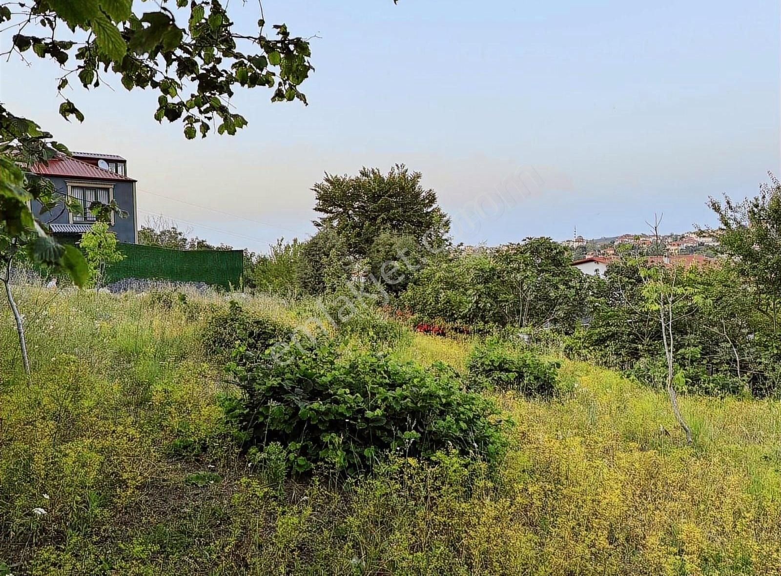 Etkin Gayrimenkul'den 400m2 Süper Konum İmarlı Doğalgazlı - Görsel 4