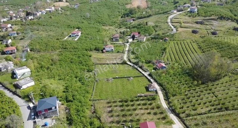 Aracını Getir Arsayı Götür Kalanı 9 Ay Vade Farksız - Görsel 5