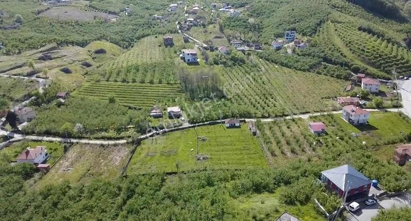 Aracını Getir Arsayı Götür Kalanı 9 Ay Vade Farksız - Görsel 8