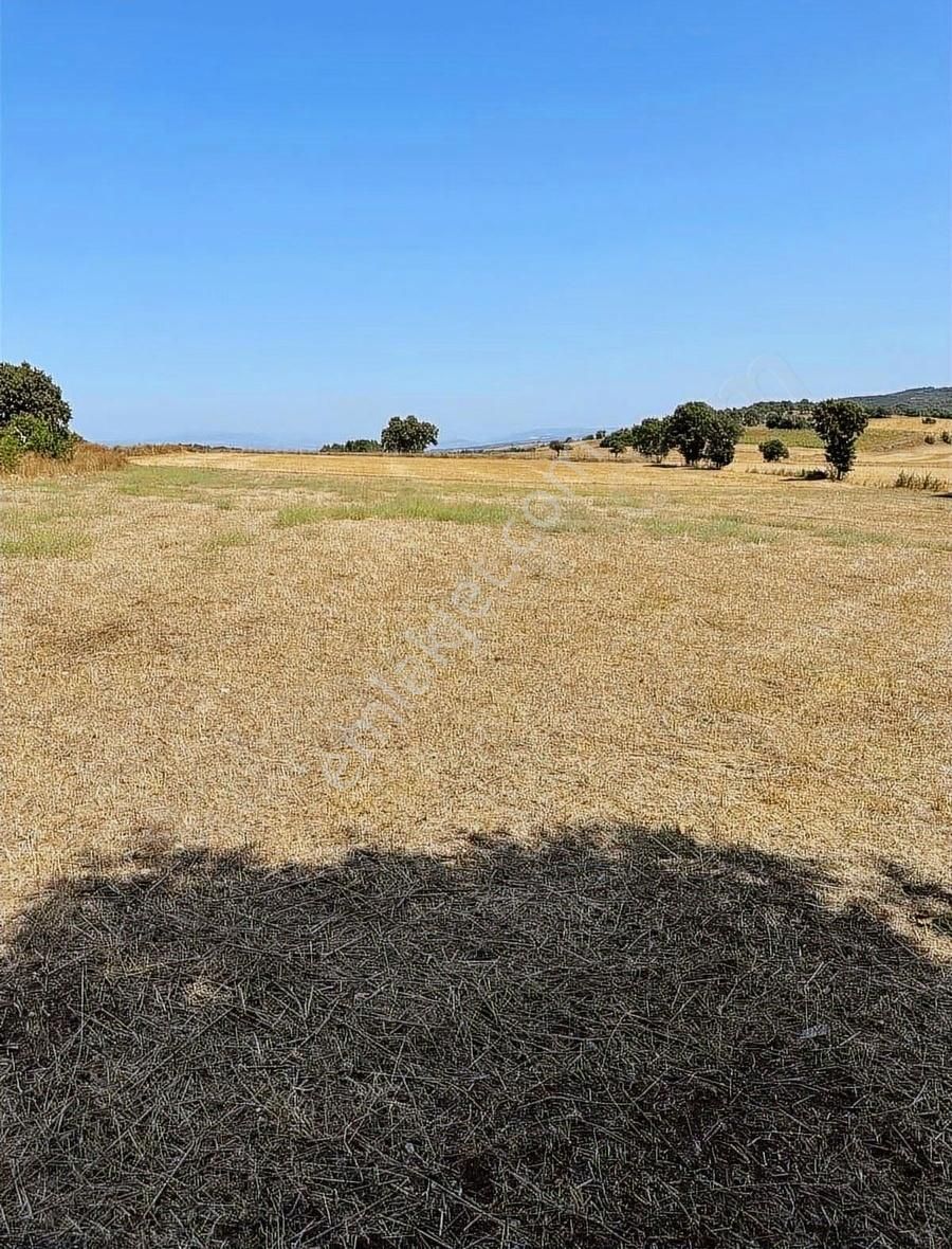 Yenişehir Akbıyık 5.350 M2 Tek Tapu Yola Cephe Satılık Tarla