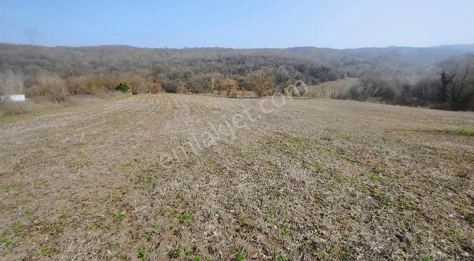 Mustafakemalpaşa Demirdere Köyü Satılık 10.434 M2 Tek Tapu Tarla