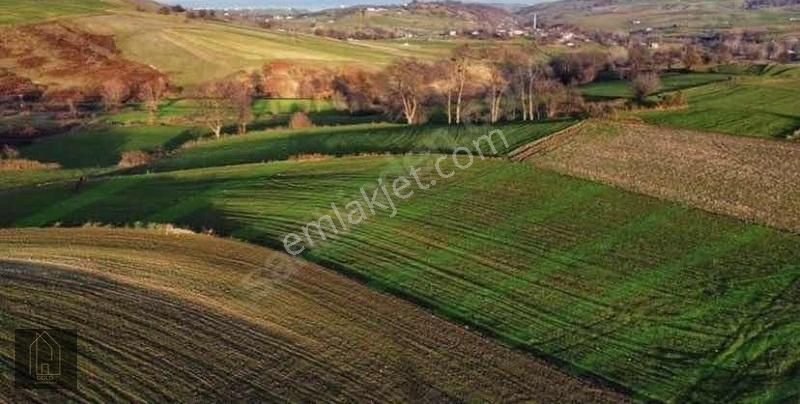 Atakum / Köseli 'de Deniz Manzaralı Satılık Fırsat Tarla