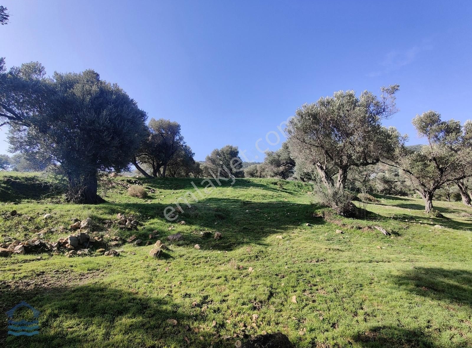 Eski Foça Emlaktan Kocamehmetler Köyünde Özel İmarlı Tarla - Görsel 2