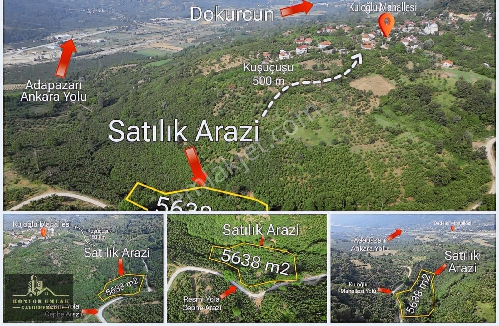 Konfor Emlaktan Dokurcunda Satılık Fındık Bahçesi
