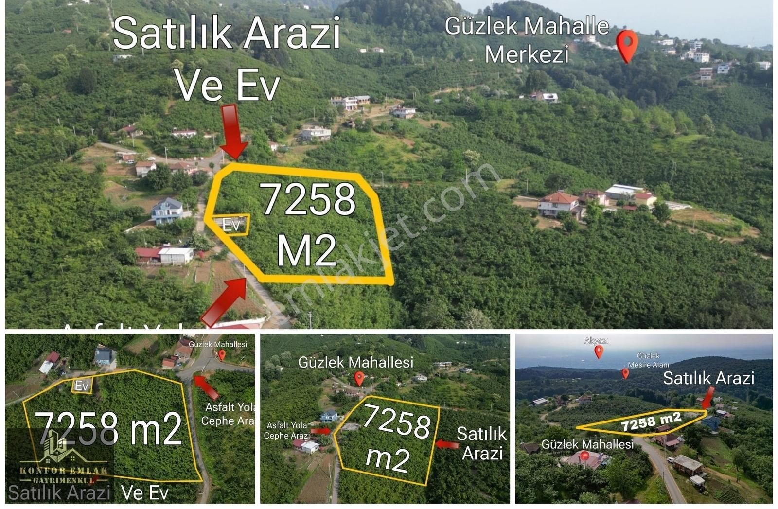 Konfor Emlaktan Güzlek Mah Satılık Fındık Bahçesi
