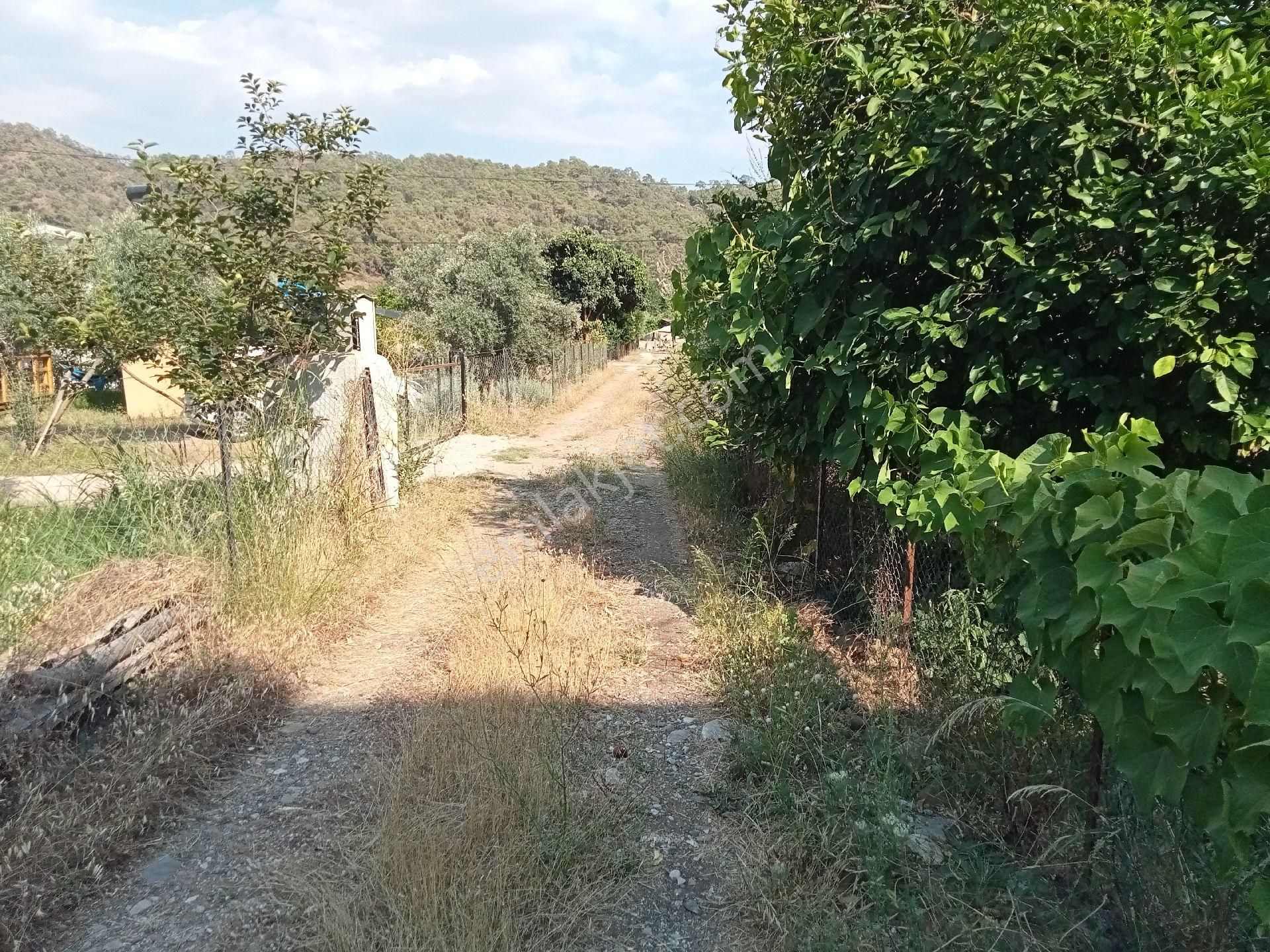 Falcon Dan Yanıklar Da 1367m² Müstakil Tapu - Görsel 26