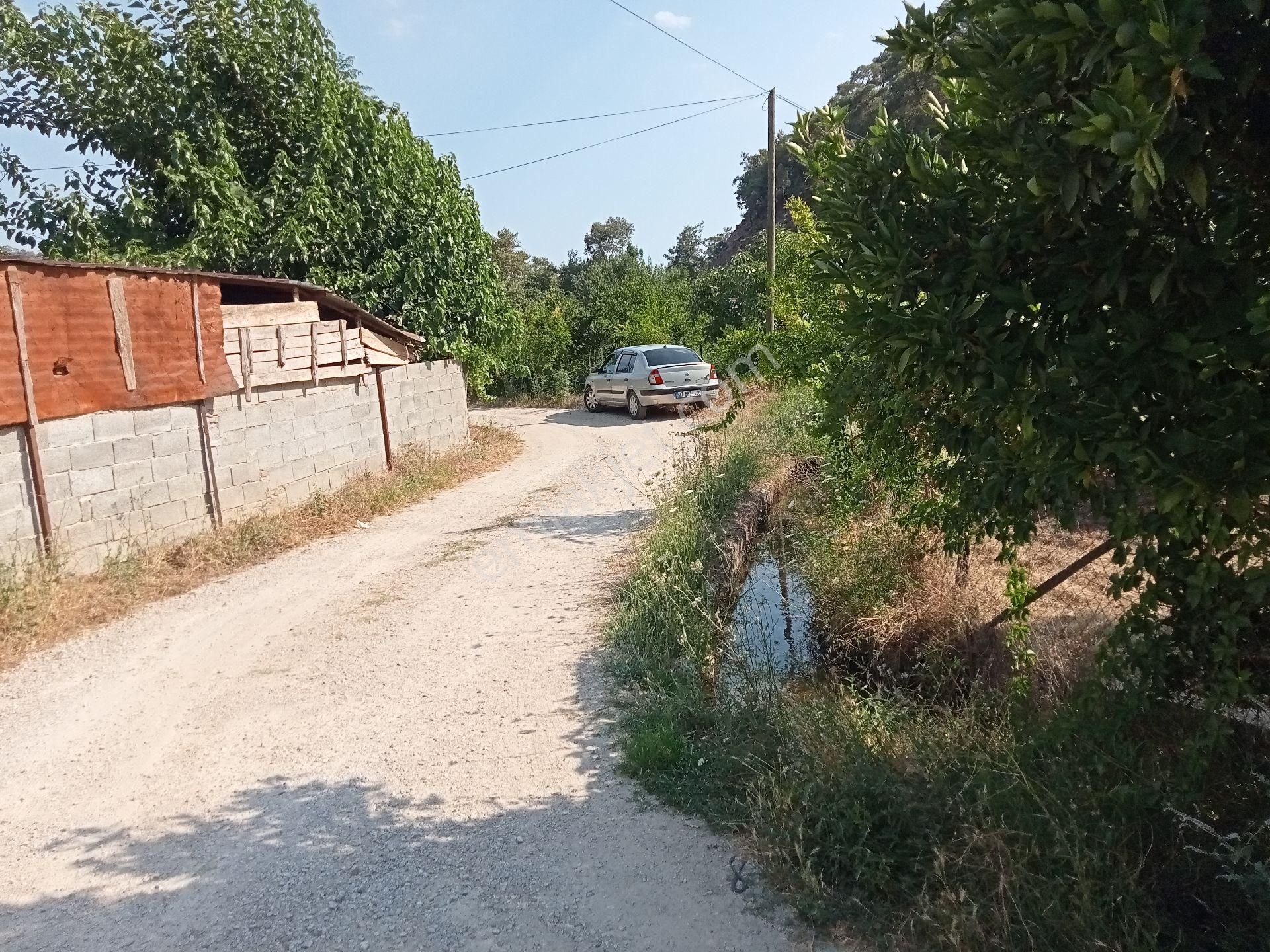 Falcon Dan Yanıklar Da 1367m² Müstakil Tapu - Görsel 25