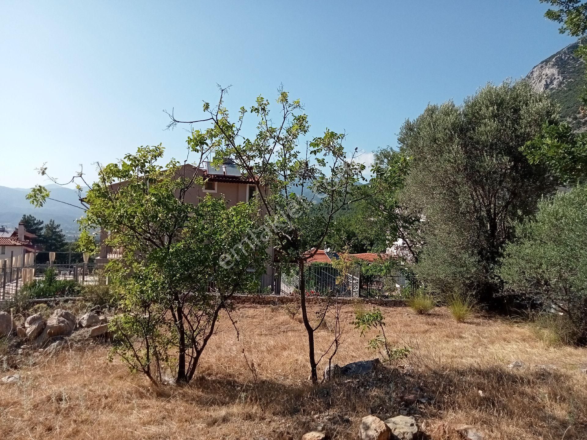 Falcon Dan Üzümlü De 863m² Fırsat Arsa - Görsel 19