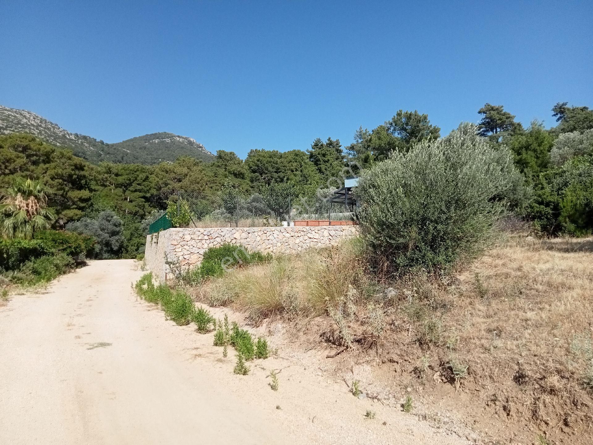 Falcon Dan Üzümlü De 863m² Fırsat Arsa - Görsel 2