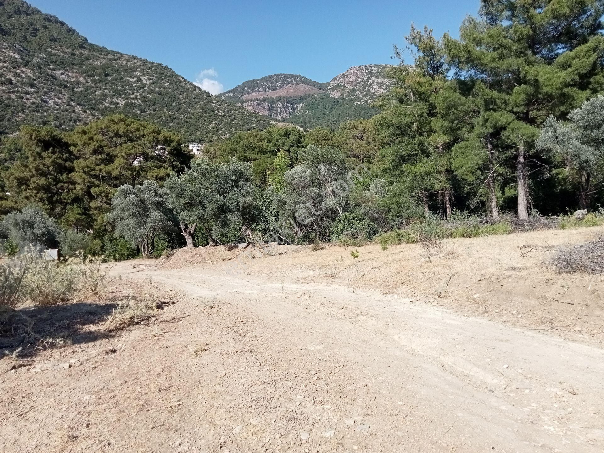 Falcon Dan Üzümlü De 863m² Fırsat Arsa - Görsel 15
