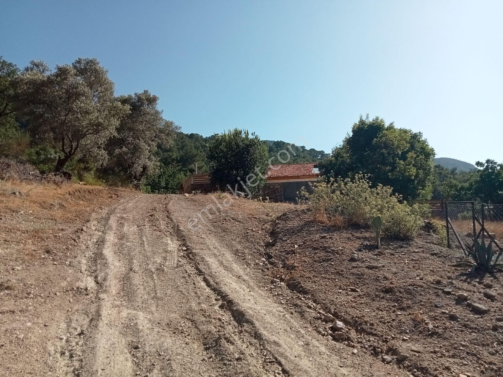 Falcon Dan Üzümlü De 863m² Fırsat Arsa - Görsel 12