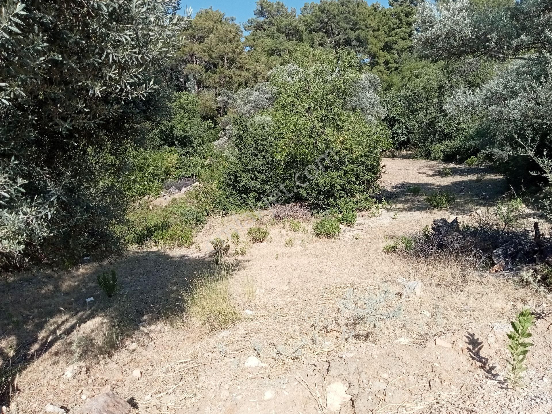 Falcon Dan Üzümlü De 863m² Fırsat Arsa - Görsel 5