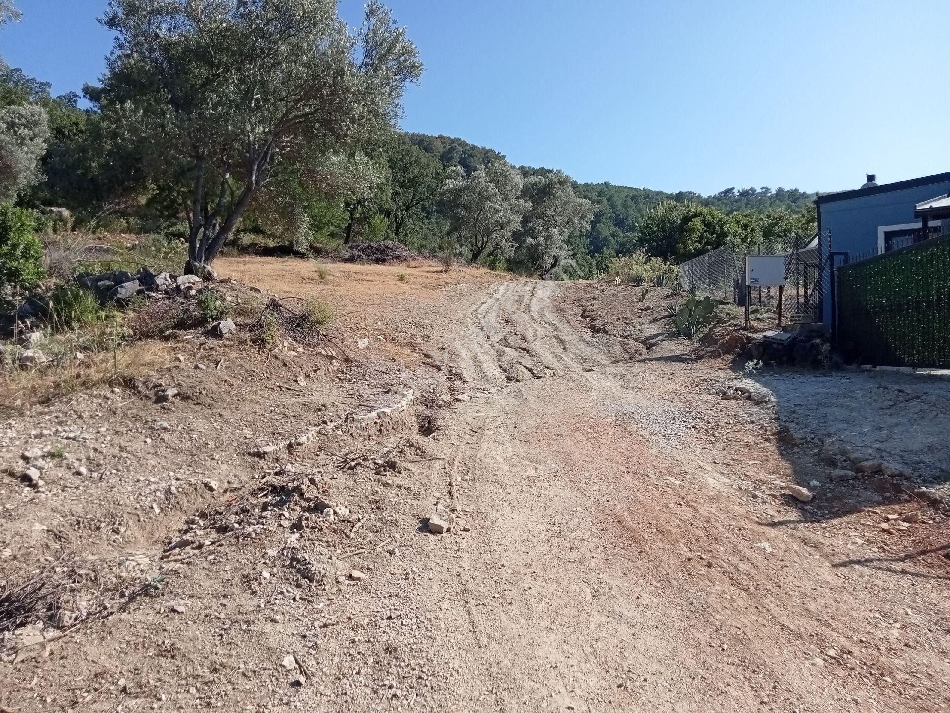 Falcon Dan Üzümlü De 863m² Fırsat Arsa - Görsel 11