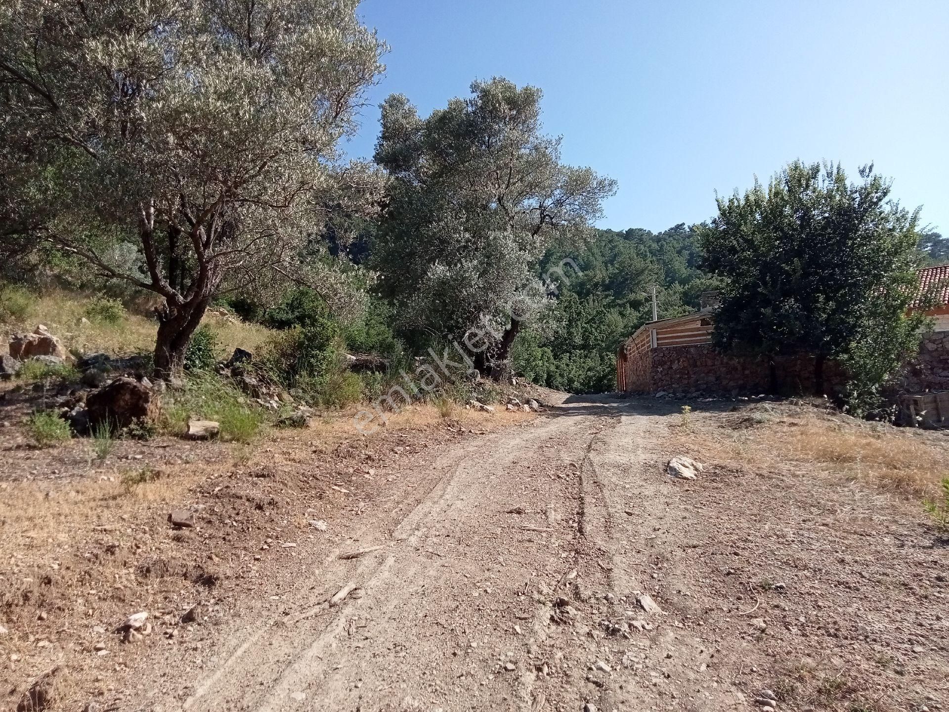 Falcon Dan Üzümlü De 863m² Fırsat Arsa - Görsel 14