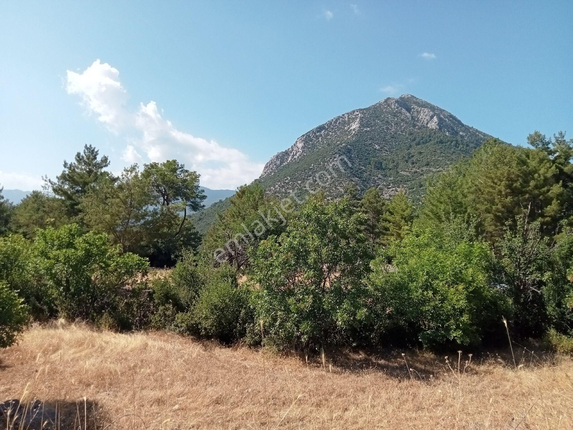 Falcon Dan Üzümlü De Fırsat 3000m² 10/20 İmarlı Arsa - Görsel 5