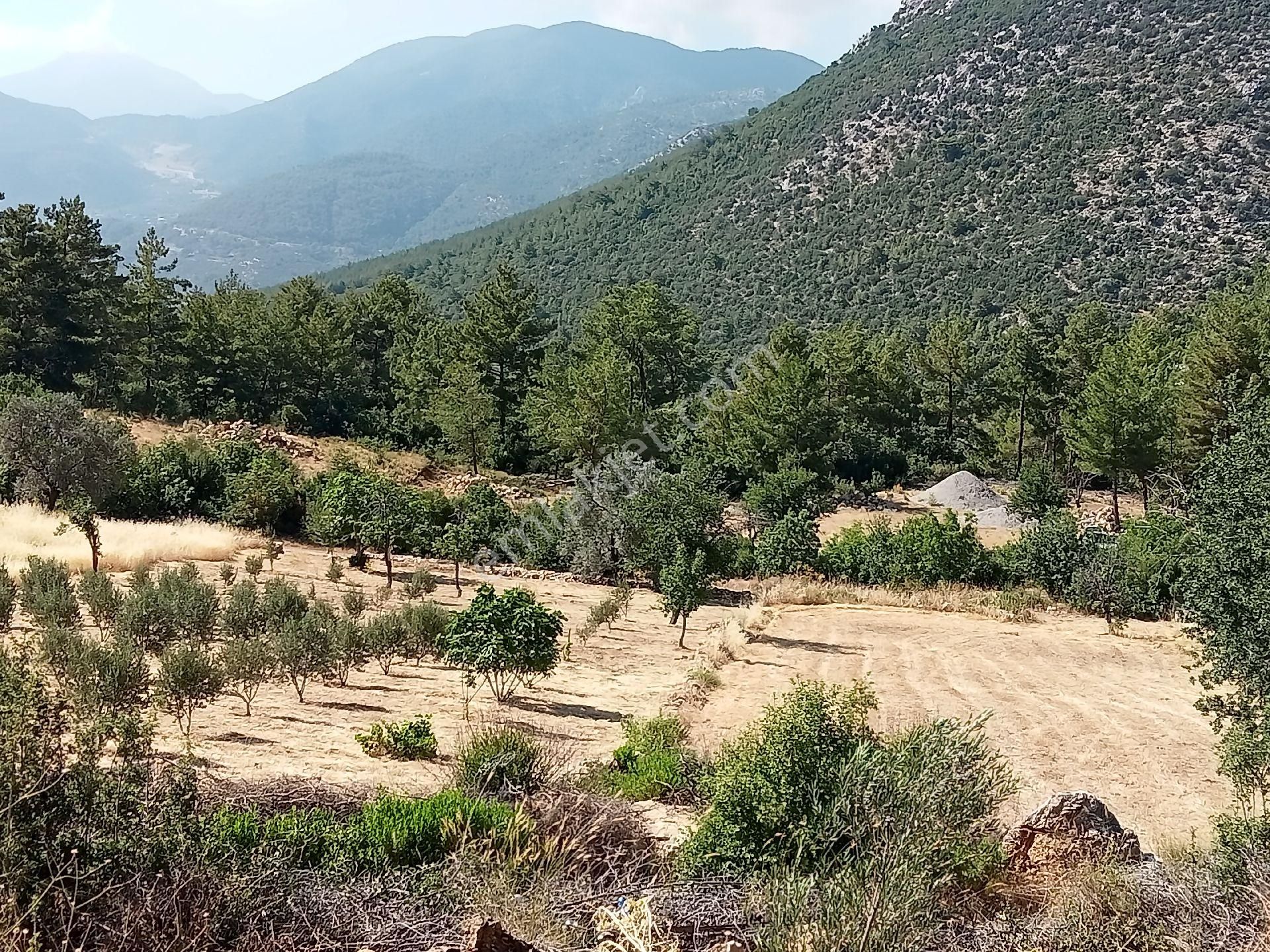 Falcon Dan Üzümlü De Fırsat 3000m² 10/20 İmarlı Arsa - Görsel 12