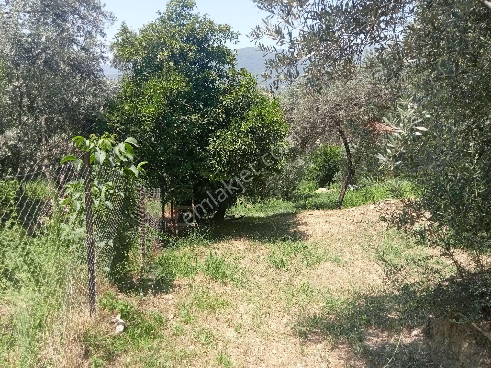 Falcon Dan Ören De Fırsat 500m² İmarlı Arsa - Görsel 14