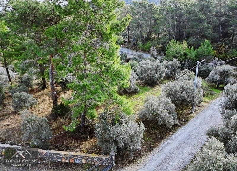 Dalaman Gürköy 1870 M2 Köşe Parsel Müstakil Tapu