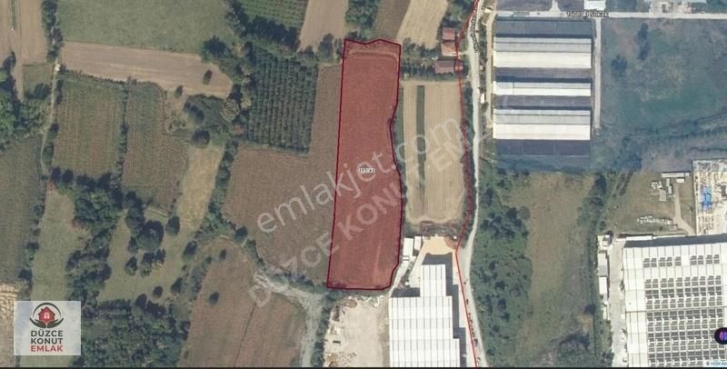 Düzce Konut Emlak Çilimli 1.927,73 M2 Tarla