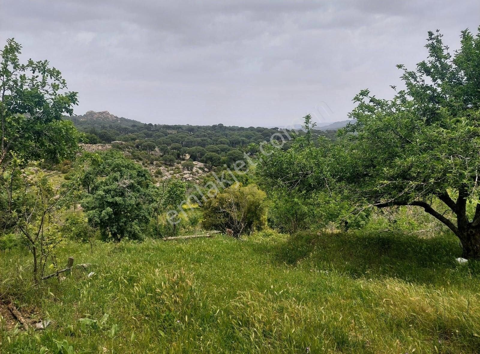 Yıldırım Mühendislikten Çukur Mah .yaylasında "1.462 M2" Bahçe