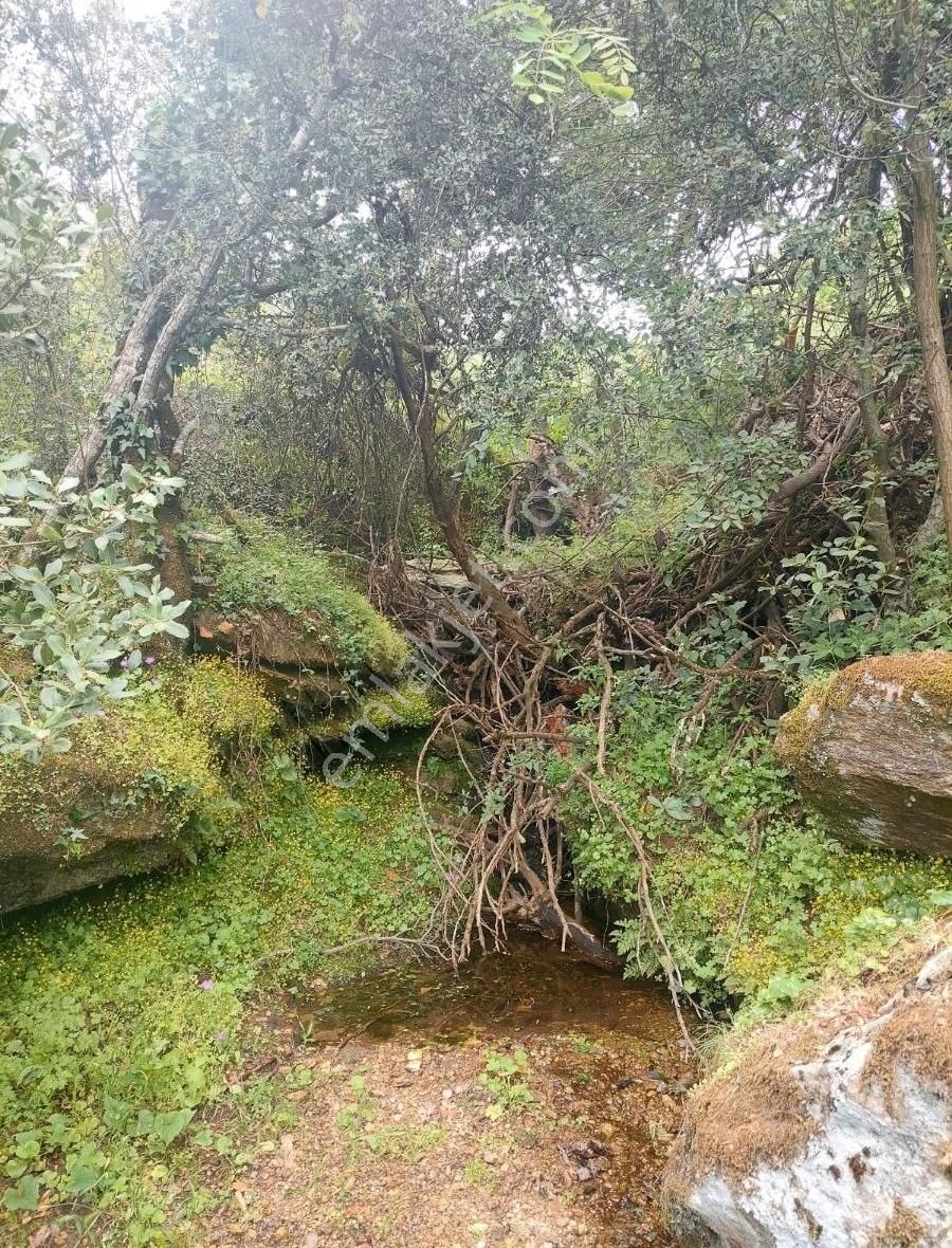 Yıldırım Mühendislikten Çukur Mah .yaylasında "1.462 M2" Bahçe - Görsel 6