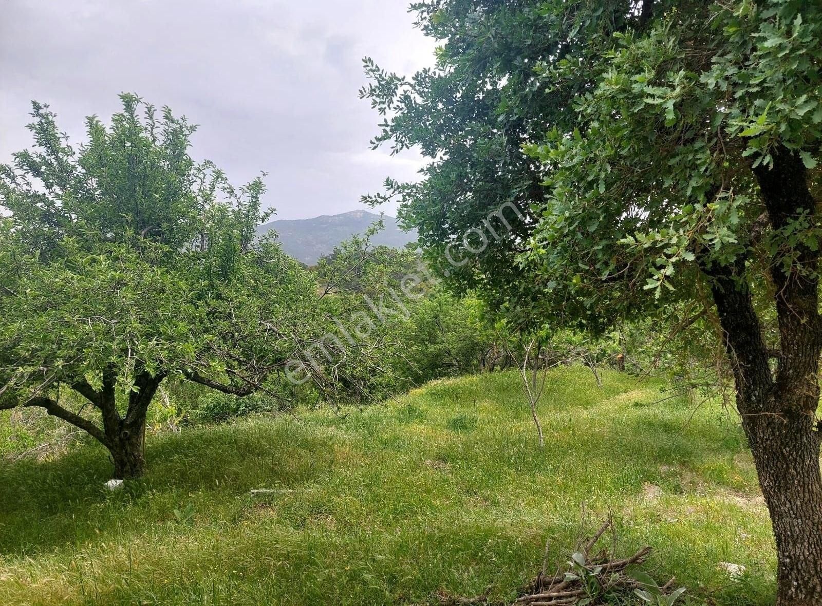 Yıldırım Mühendislikten Çukur Mah .yaylasında "1.462 M2" Bahçe - Görsel 2