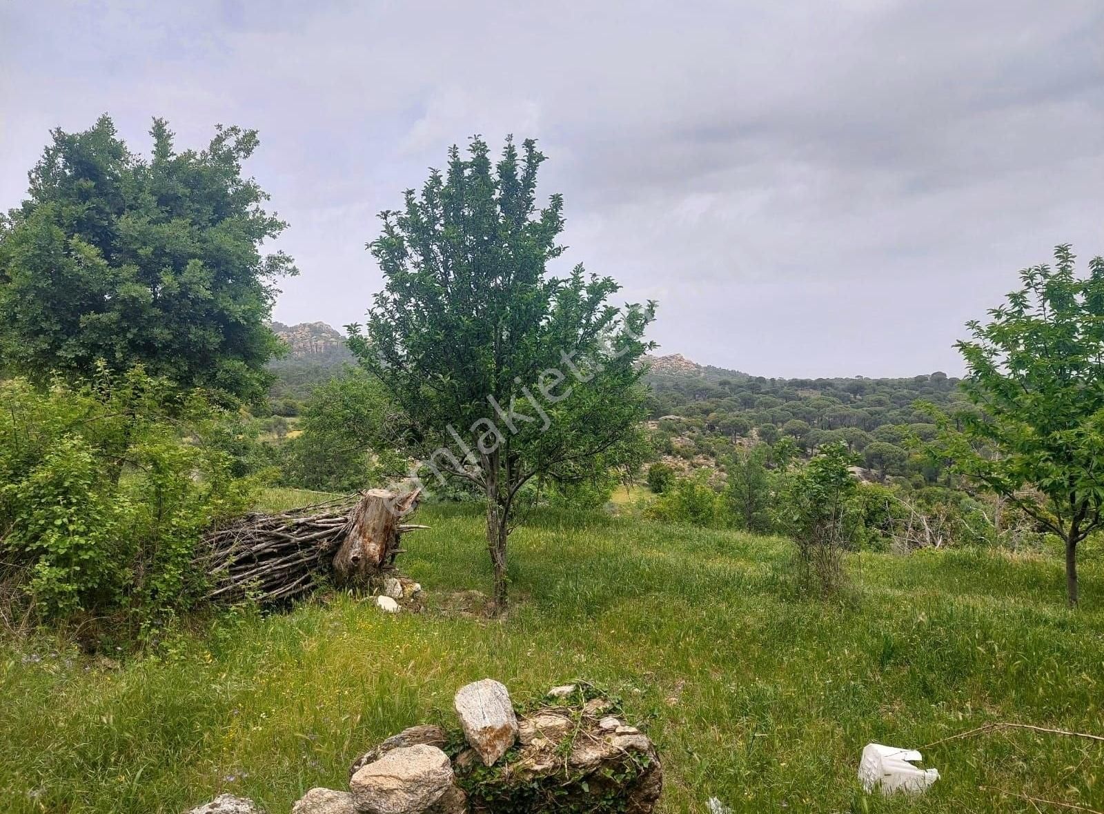 Yıldırım Mühendislikten Çukur Mah .yaylasında "1.462 M2" Bahçe - Görsel 5