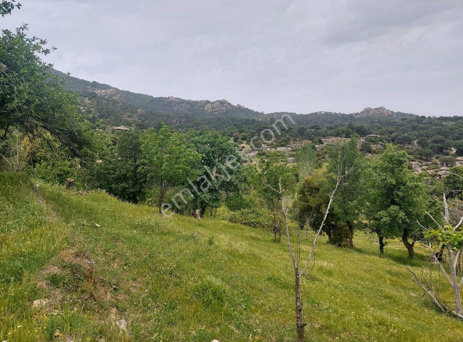 Yıldırım Mühendislikten Çukur Mah .yaylasında "1.462 M2" Bahçe - Görsel 7