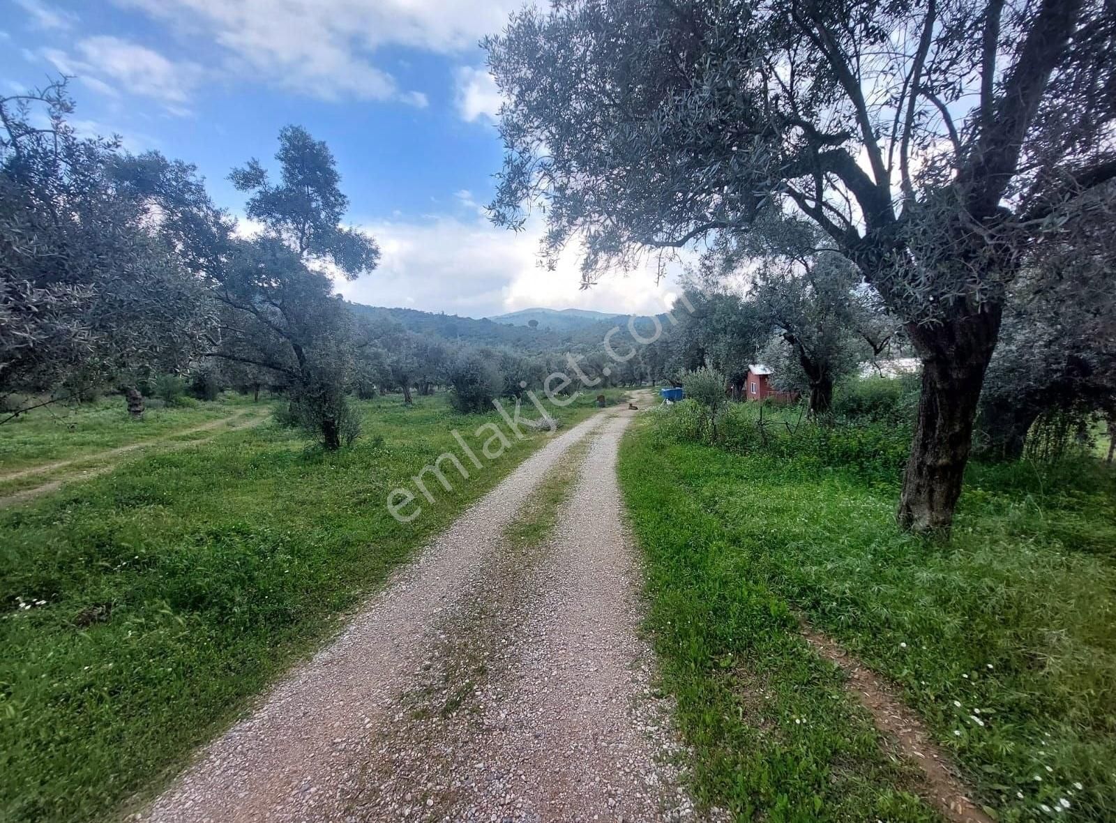 Yıldırım Mühendislik'ten Danişment Mah. "600 M2" Yola Cepheli !! - Görsel 4