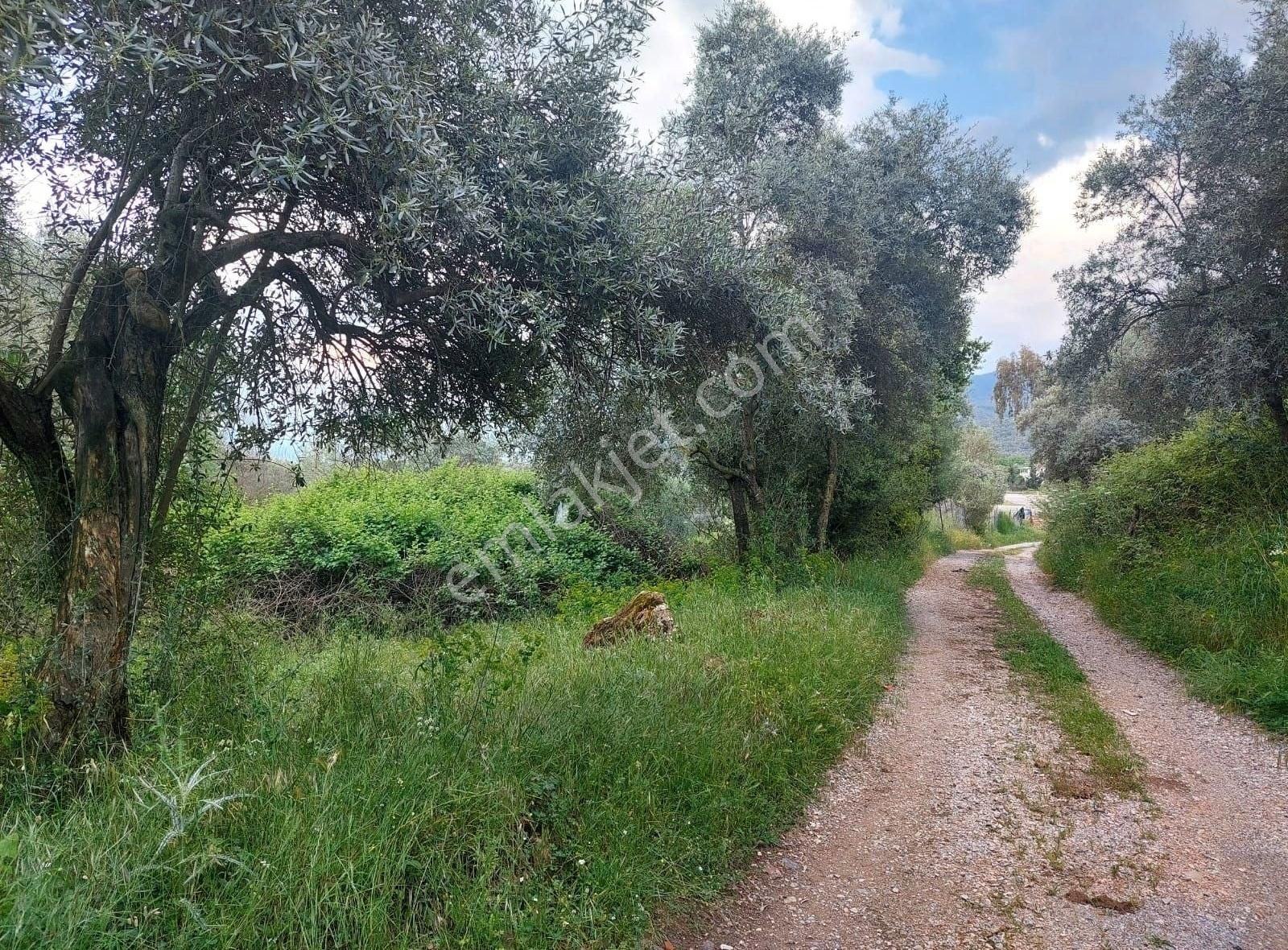 Yıldırım Mühendislik'ten Danişment Mah. "600 M2" Yola Cepheli !!