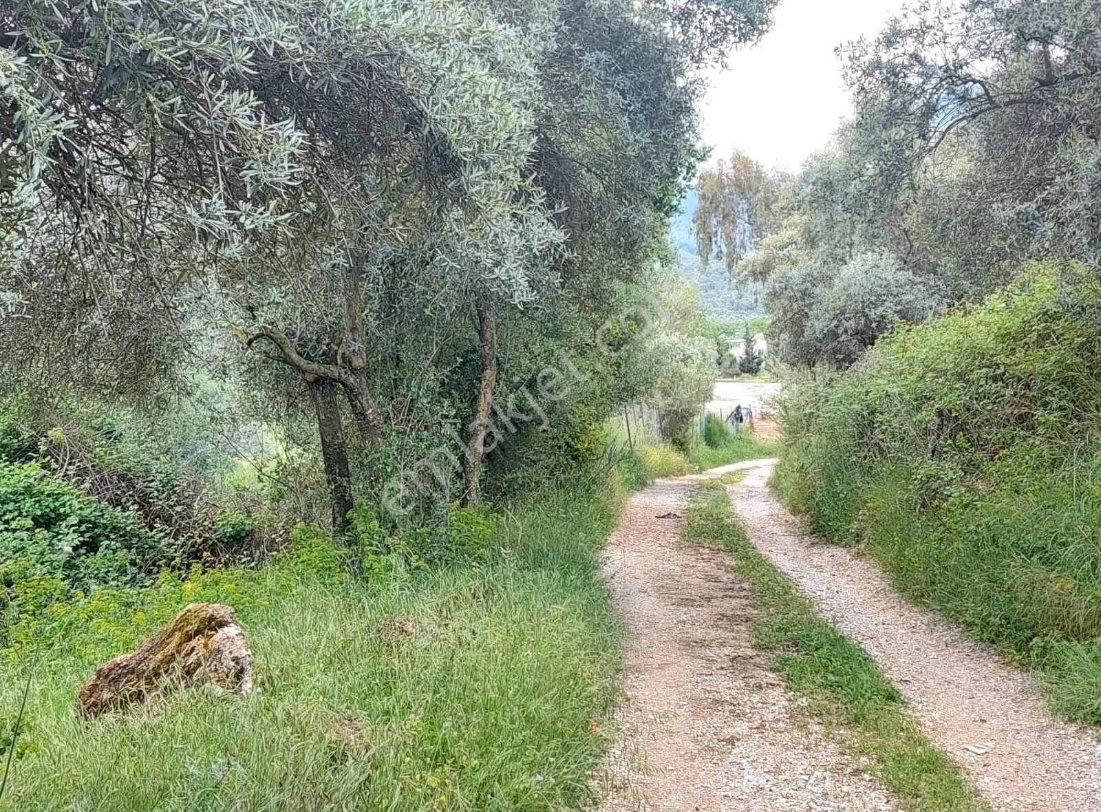 Yıldırım Mühendislik'ten Danişment Mah. "600 M2" Yola Cepheli !! - Görsel 3