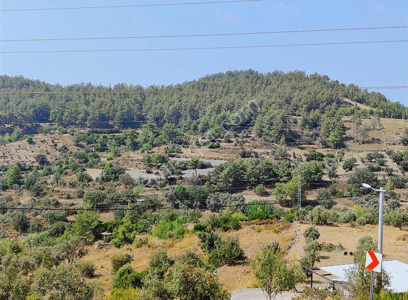 Yıldırım Mühendislikten "510 M2" İmarlı Arsa - Görsel 3
