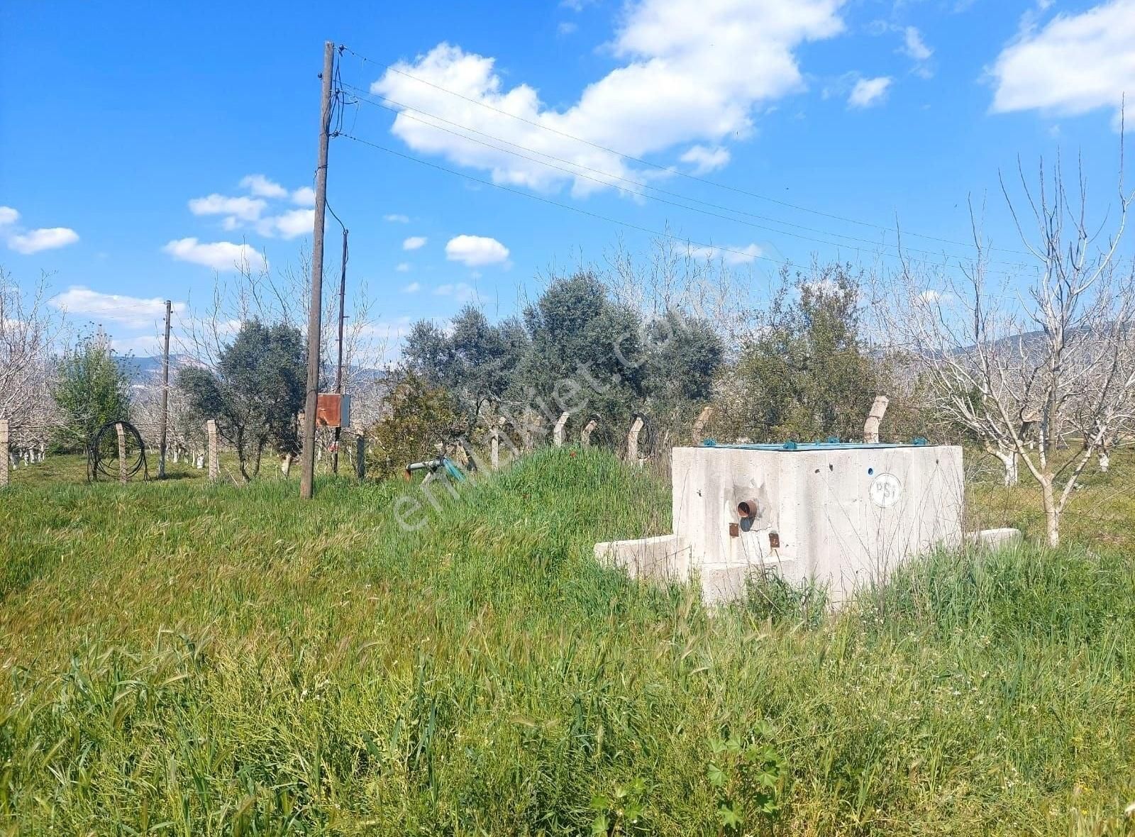 Yıldırım Mühendislik'ten Burgaz Mah."6.222 M2" Verimli Düz Tarla - Görsel 7