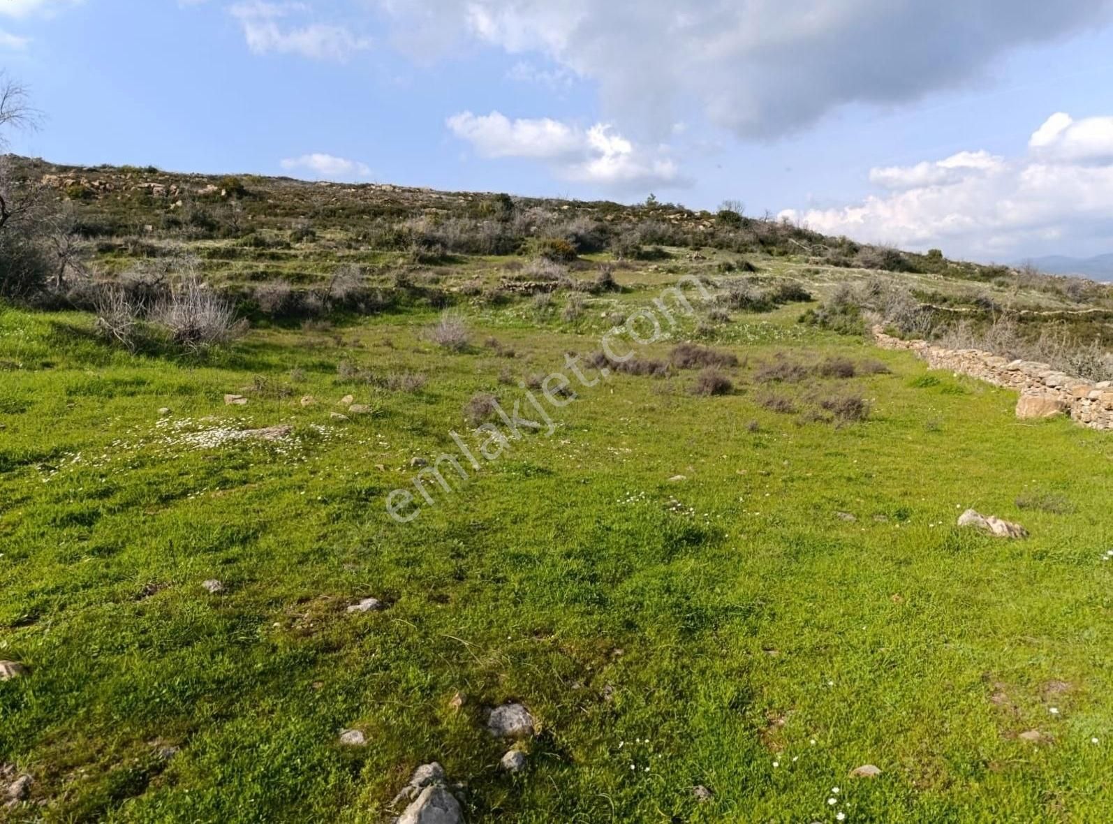 Yıldırım Mühendislik'ten Ören Güreğiz Mah. "6.521 M2" Tarla - Görsel 3