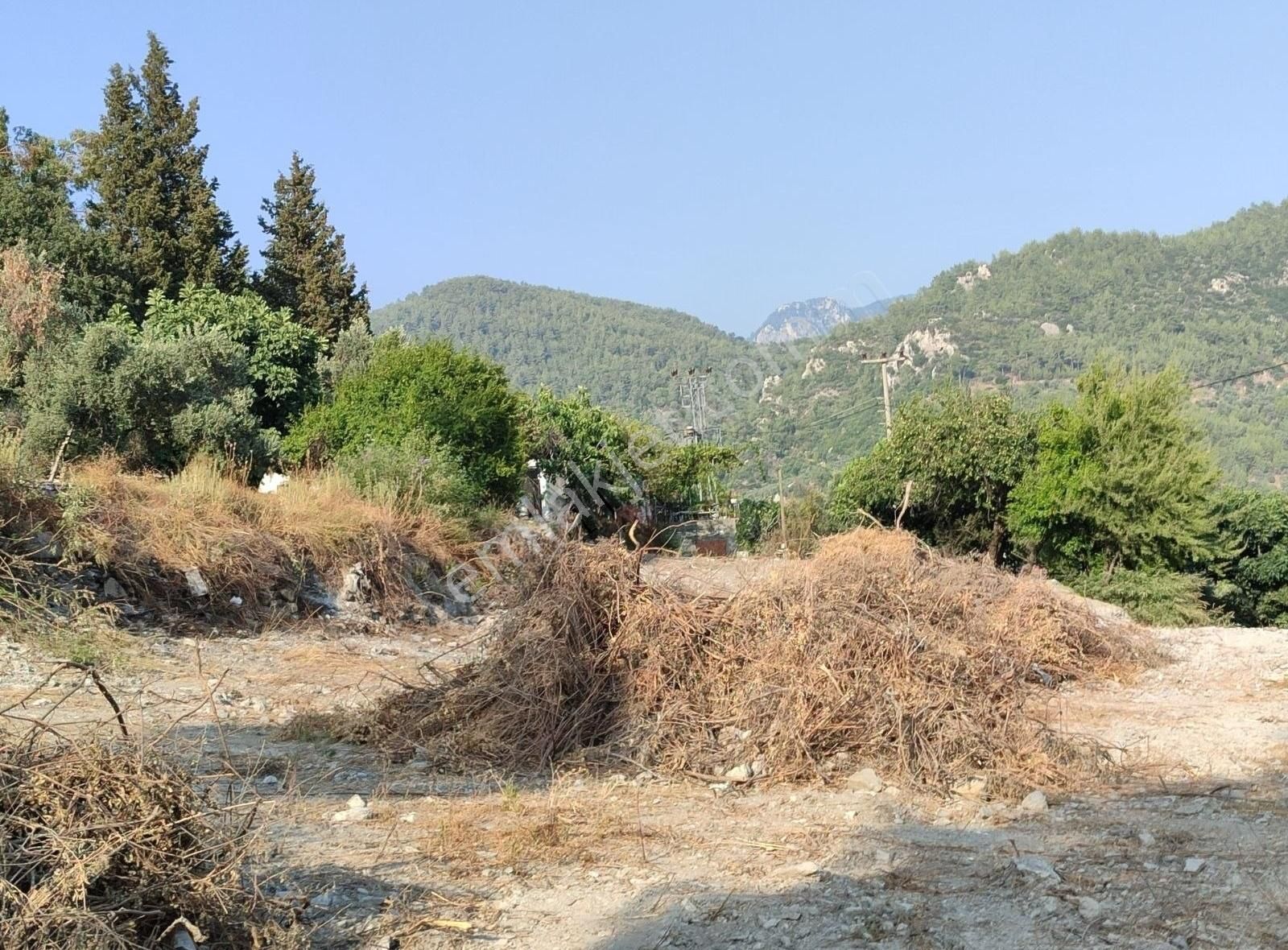 Yıldırım Mühendislikten Ören/kalem Mh."500 M2"imarlı Arsa