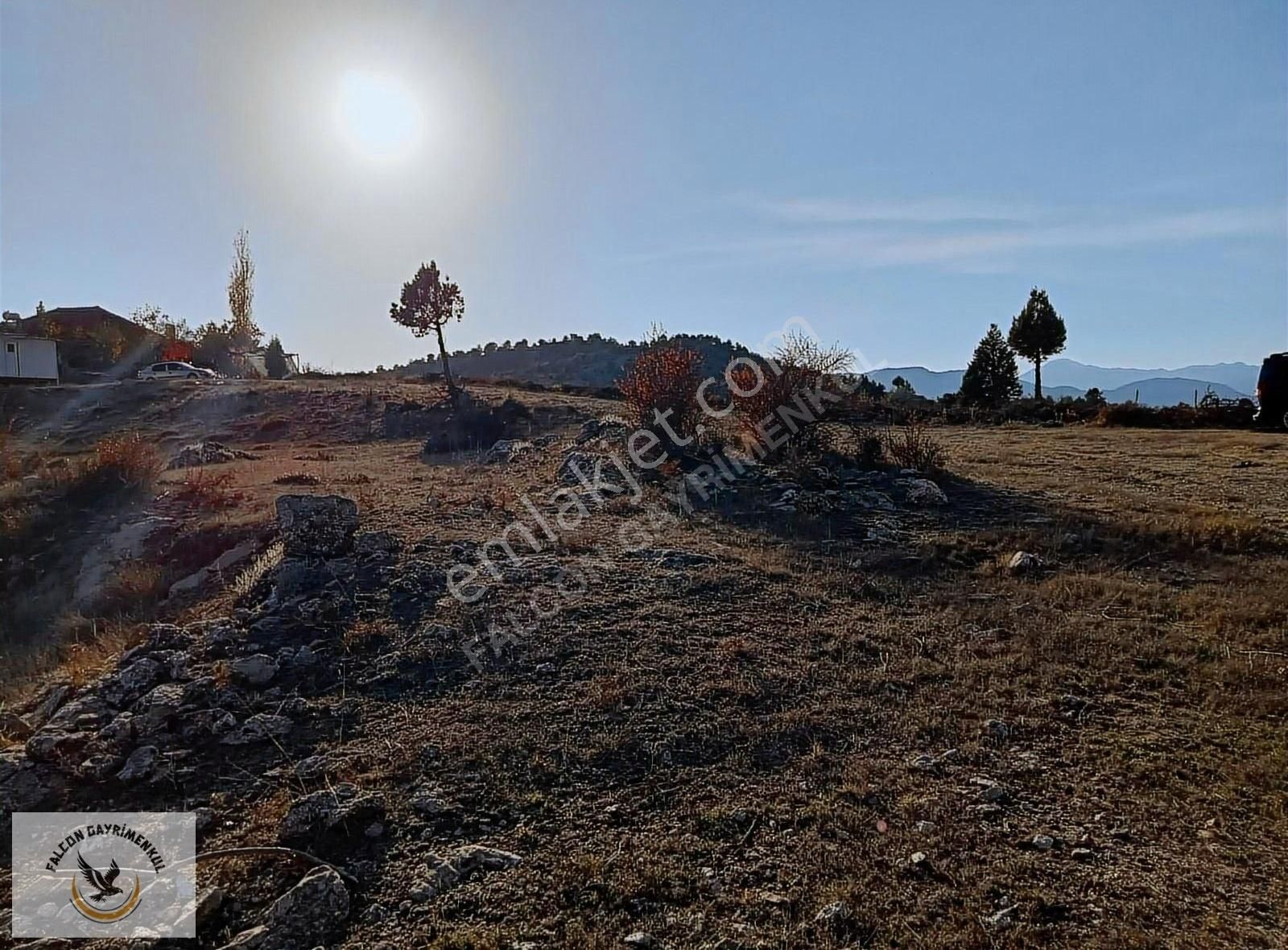 Falcon Dan Yayla Ceylan Da 6250m² - Görsel 10