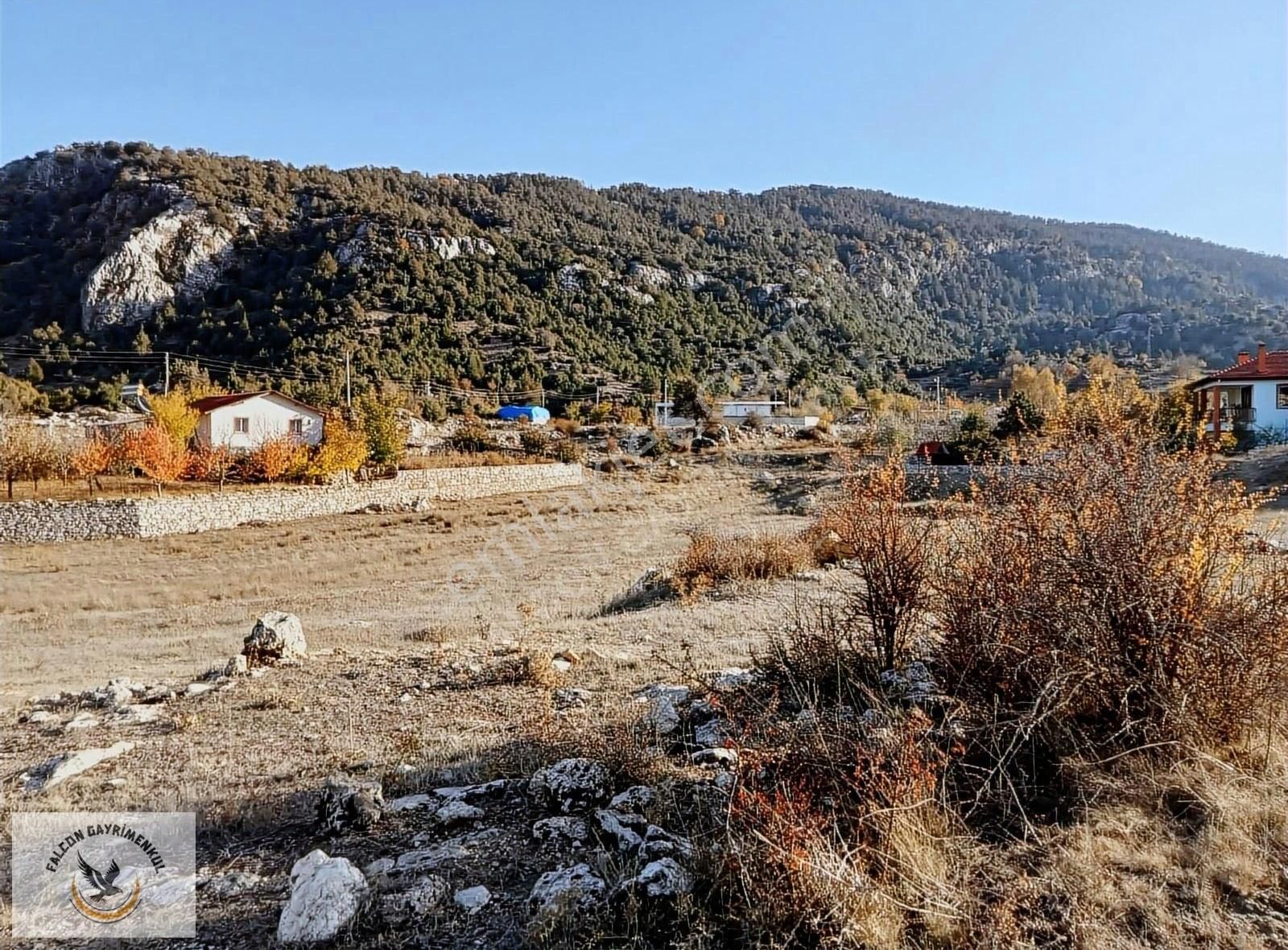 Falcon Dan Yayla Ceylan Da 6250m² - Görsel 19