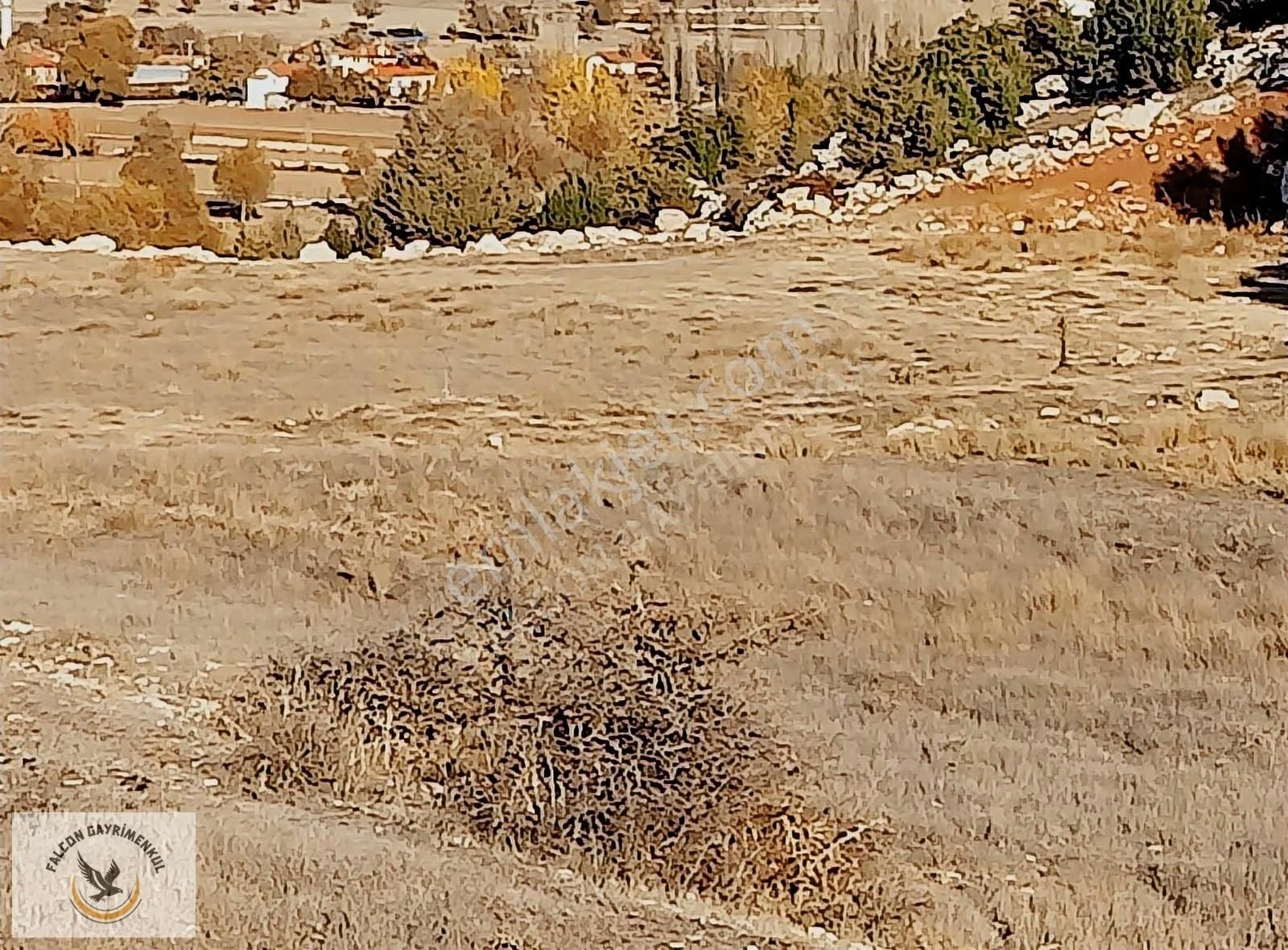 Falcon Dan Yayla Ceylan Da 6250m² - Görsel 11