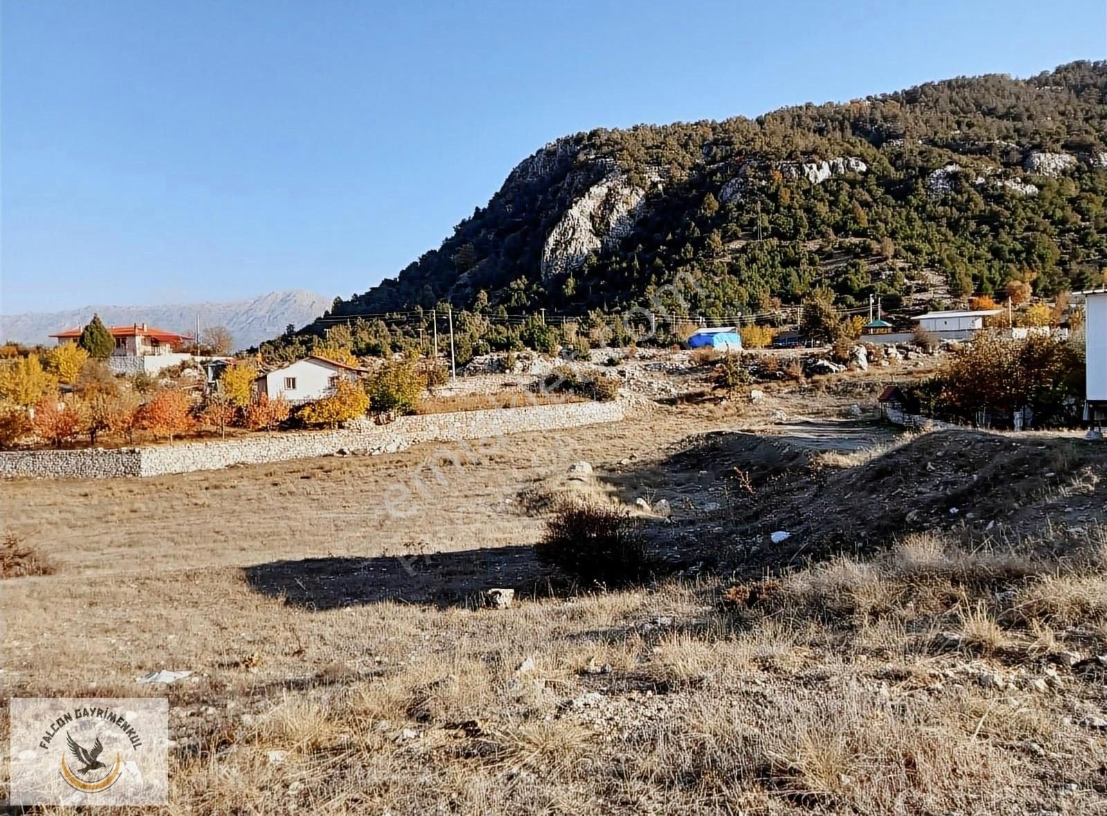 Falcon Dan Yayla Ceylan Da 6250m² - Görsel 5