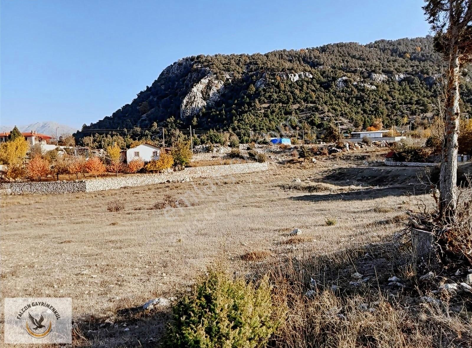 Falcon Dan Yayla Ceylan Da 6250m² - Görsel 12