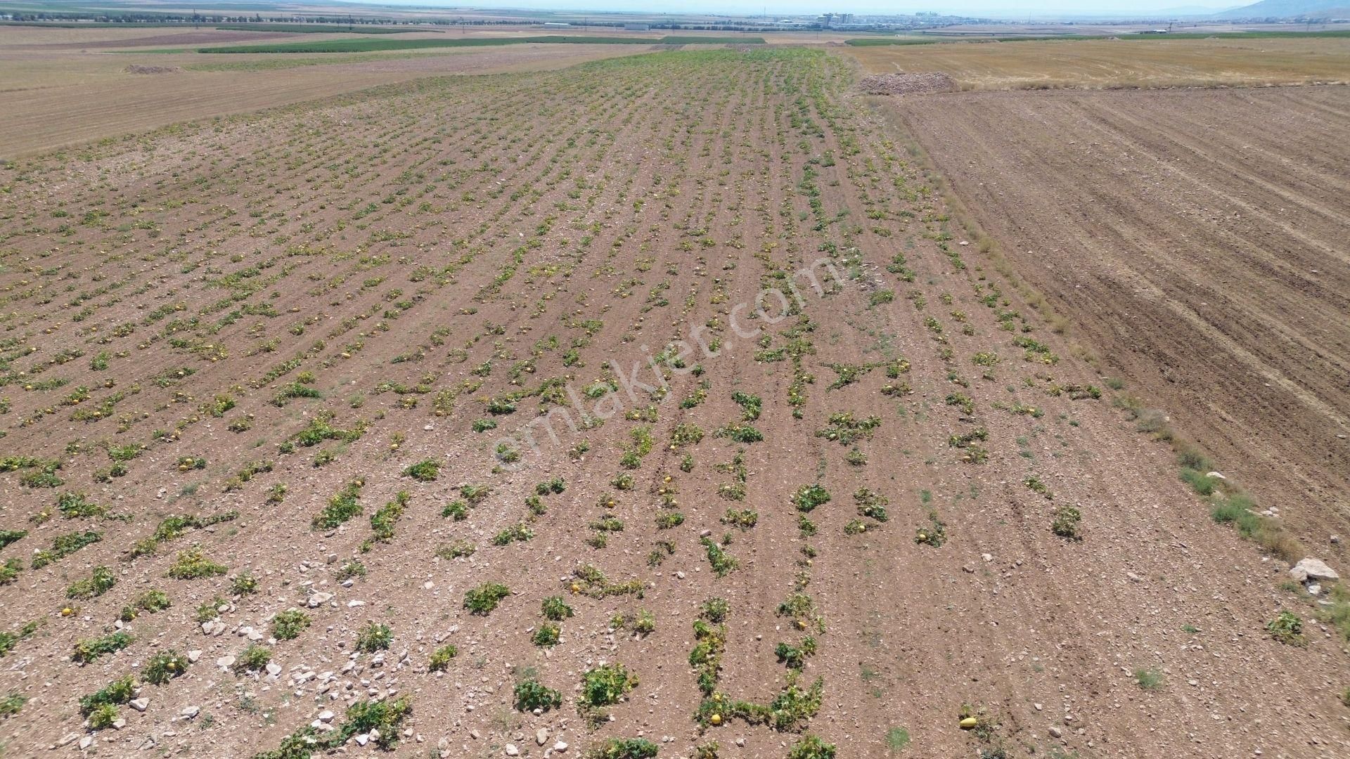 Karaman / Kazımkarabekir / Özyurt Da 21.239 M² Müstakil Tapulu