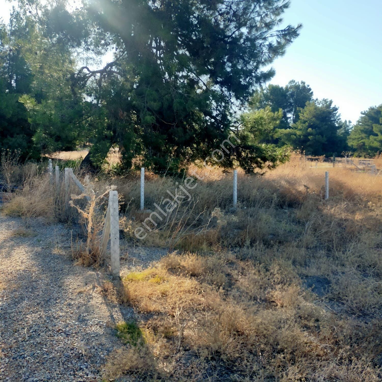 İzmir Menderes Tekeli Mahallesi'nde 250 M2 Son 3 Adet Bahce - Görsel 7