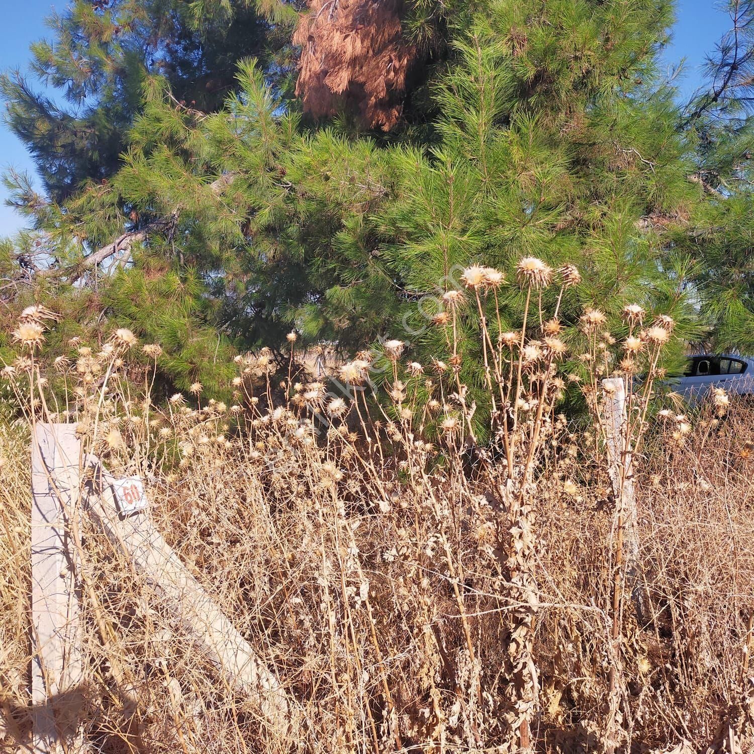 İzmir Menderes Tekeli Mahallesi'nde 250 M2 Son 3 Adet Bahce - Görsel 6